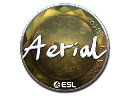 Aerial (Foil) | Katowice 2019 sticker