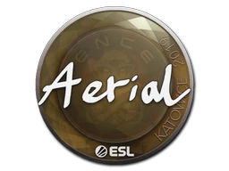 Aerial | Katowice 2019 sticker