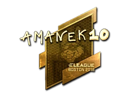 AmaNEk (Gold) | Boston 2018 sticker