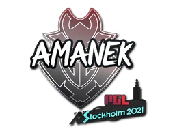 AMANEK | Stockholm 2021 sticker