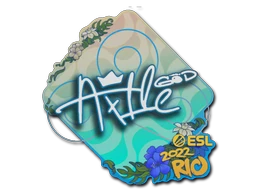 Ax1Le | Rio 2022 sticker