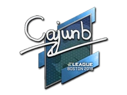 cajunb | Boston 2018 sticker