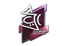 chrisJ (Foil) | Boston 2018 sticker