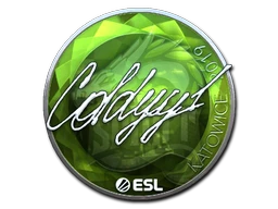 COLDYY1 (Foil) | Katowice 2019 sticker