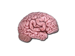 Cs On The Mind sticker