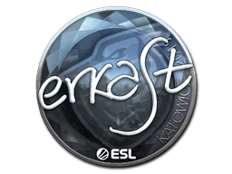 erkaSt (Foil) | Katowice 2019 sticker