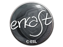 erkaSt | Katowice 2019 sticker