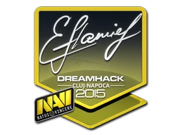 flamie | Cluj-Napoca 2015 sticker