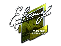 flamie (Foil) | Boston 2018 sticker