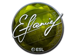 flamie (Foil) | Katowice 2019 sticker