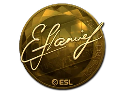 flamie (Gold) | Katowice 2019 sticker