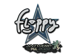 floppy | Antwerp 2022 sticker