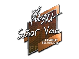 flusha | Boston 2018 sticker
