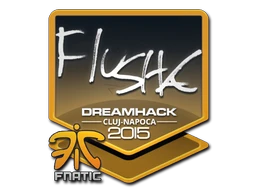flusha | Cluj-Napoca 2015 sticker