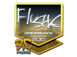 flusha (Foil) | Cluj-Napoca 2015 sticker