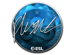 flusha (Foil) | Katowice 2019 sticker