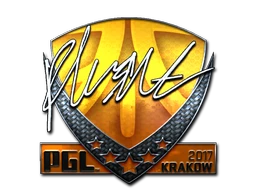 flusha (Foil) | Krakow 2017 sticker