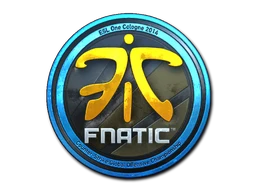 Fnatic (Foil) | Cologne 2014 sticker