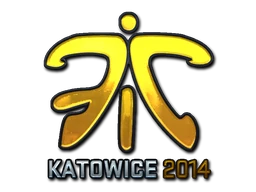 Fnatic (Foil) | Katowice 2014 sticker