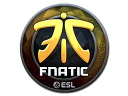 Fnatic (Foil) | Katowice 2019 sticker