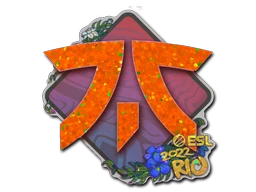 Fnatic (Glitter) | Rio 2022 sticker