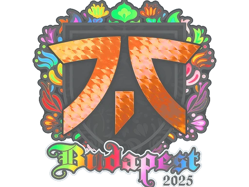 fnatic (Holo) | Budapest 2025 sticker
