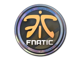 Fnatic (Holo) | Cologne 2014 sticker