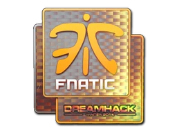 Fnatic (Holo) | DreamHack 2014 sticker