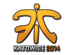 Fnatic (Holo) | Katowice 2014 sticker