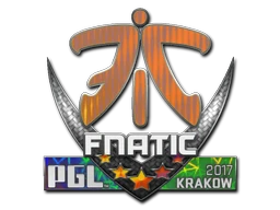 Fnatic (Holo) | Krakow 2017 sticker