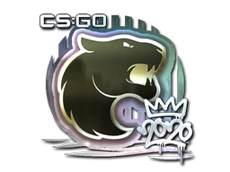 FURIA (Foil) | 2020 RMR sticker