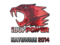 iBUYPOWER (Holo) | Katowice 2014 sticker