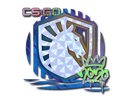 Liquid (Holo) | 2020 RMR sticker