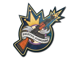 Master Guardian sticker