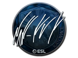 NAF (Foil) | Katowice 2019 sticker