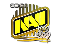 Natus Vincere | 2020 RMR sticker