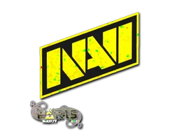 Natus Vincere (Glitter) | Paris 2023 sticker