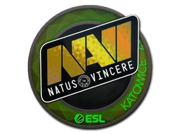 Natus Vincere (Holo) | Katowice 2019 sticker