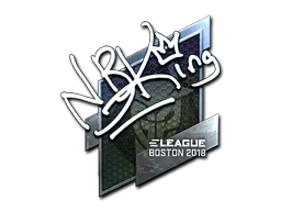 NBK- (Foil) | Boston 2018 sticker