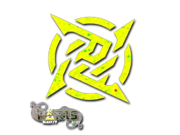 Ninjas in Pyjamas (Glitter) | Paris 2023 sticker