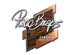 pashaBiceps | Boston 2018 sticker