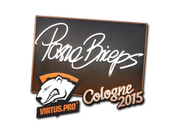 pashaBiceps | Cologne 2015 sticker