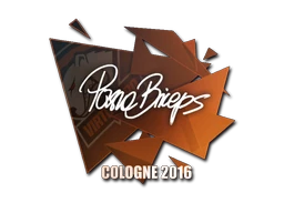 pashaBiceps | Cologne 2016 sticker