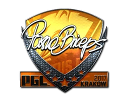 pashaBiceps (Foil) | Krakow 2017 sticker