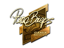 pashaBiceps (Gold) | Boston 2018 sticker