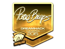 pashaBiceps (Gold) | Cluj-Napoca 2015 sticker