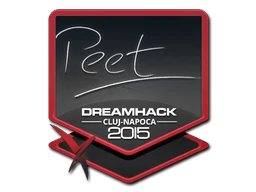 peet | Cluj-Napoca 2015 sticker