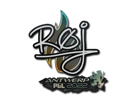 roeJ | Antwerp 2022 sticker