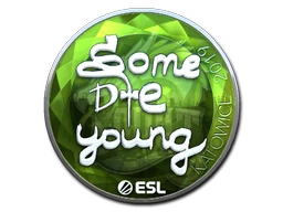 sdy (Foil) | Katowice 2019 sticker