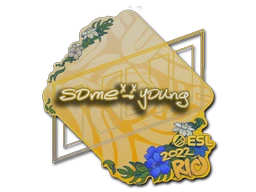 sdy | Rio 2022 sticker